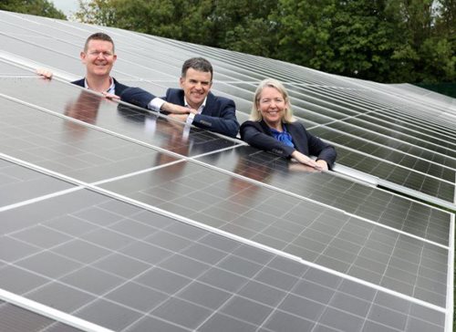 MSD opens Ireland’s largest self-supply solar project in Co Tipperary