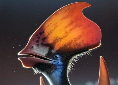 Irish-led study finds flying dinosaur cousins had colour-changing feathers