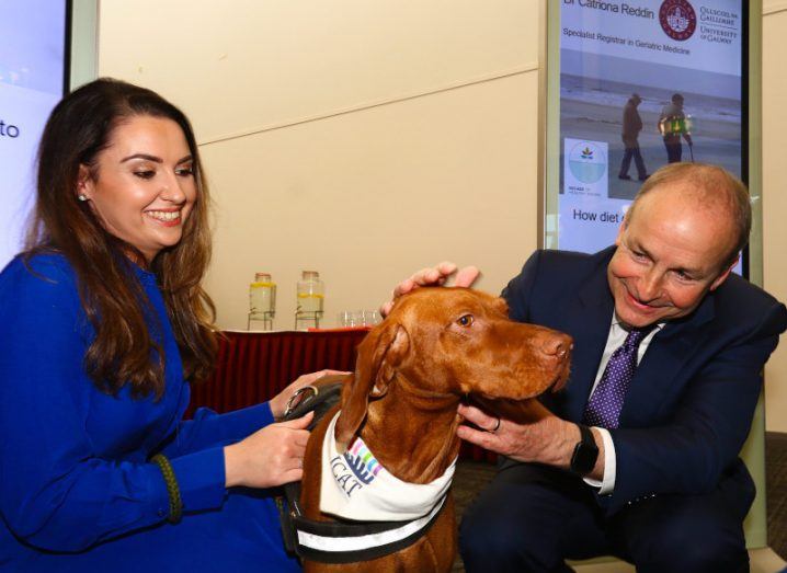 €21.3m all-island programme to train 42 ‘world-class clinician scientists’
