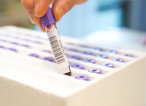 Scientists may soon be able to make a universal blood type 