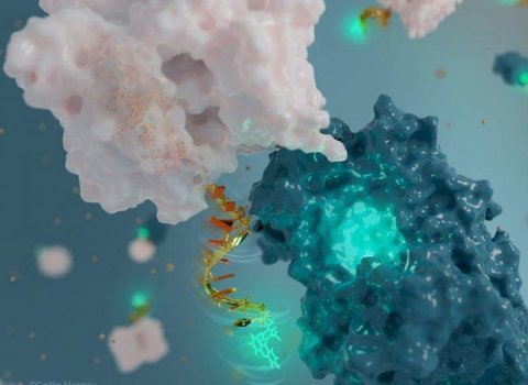 Scientists create world’s smallest nanoantenna using DNA
