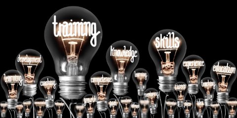 Springboard+: Skills that work