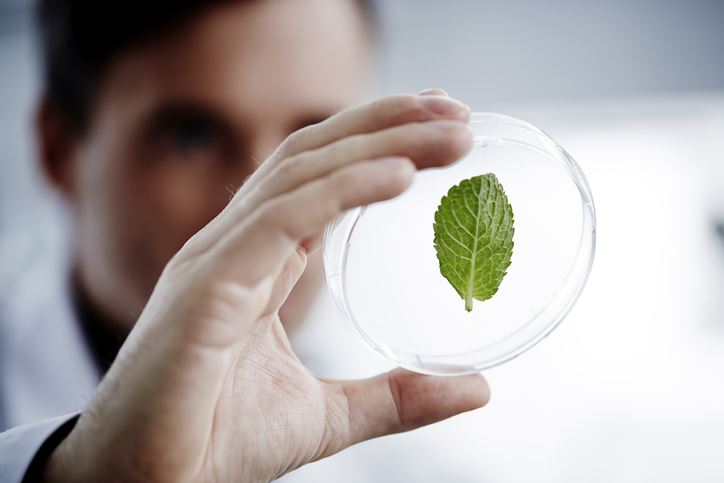 How Ireland is becoming a leader in renewable energy technology