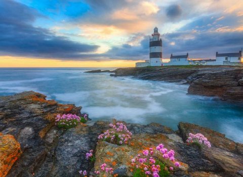 Angel investors in south-east Ireland plan to invest €10m in local start-ups